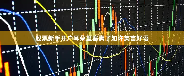 股票新手开户耳朵里塞满了如许美言好语