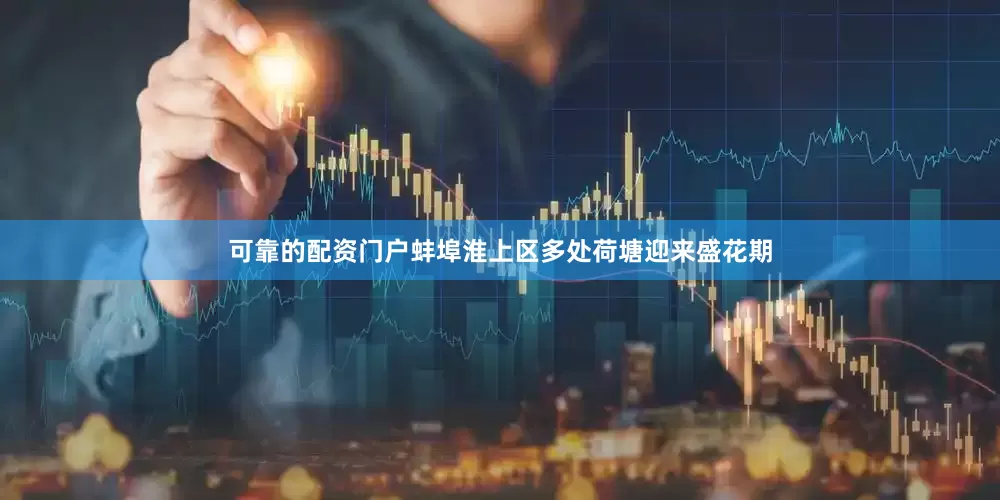 可靠的配资门户蚌埠淮上区多处荷塘迎来盛花期