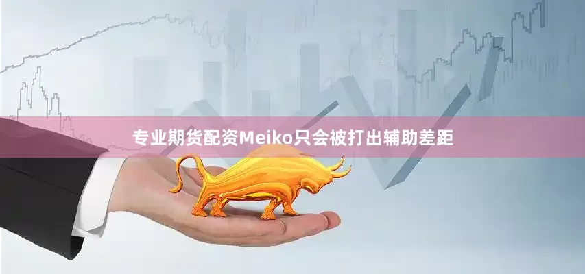 专业期货配资Meiko只会被打出辅助差距
