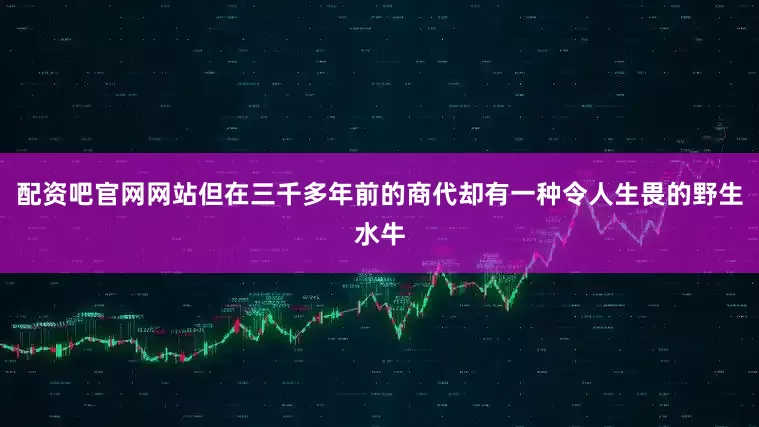 配资吧官网网站但在三千多年前的商代却有一种令人生畏的野生水牛