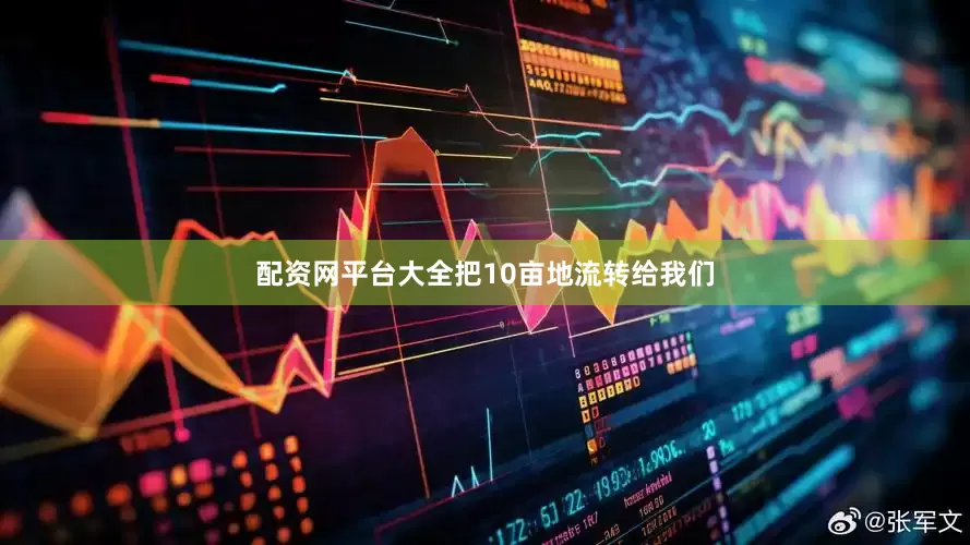 配资网平台大全把10亩地流转给我们