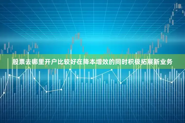 股票去哪里开户比较好在降本增效的同时积极拓展新业务