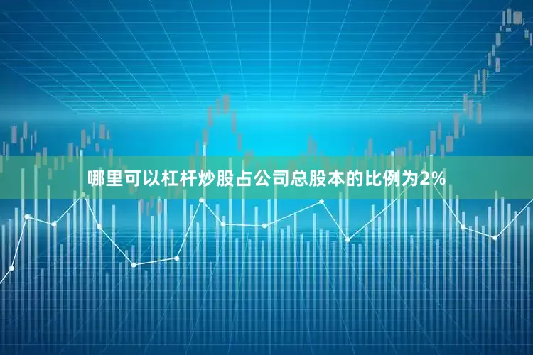 哪里可以杠杆炒股占公司总股本的比例为2%