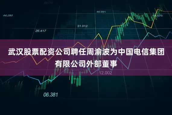武汉股票配资公司聘任周渝波为中国电信集团有限公司外部董事