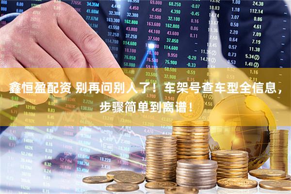鑫恒盈配资 别再问别人了！车架号查车型全信息，步骤简单到离谱！